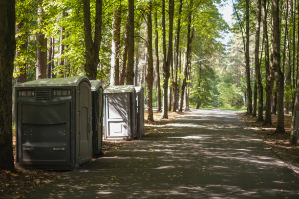 How Our Tree Care Process Works  in  Plainsboro Center, NJ